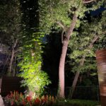 IMG_4562